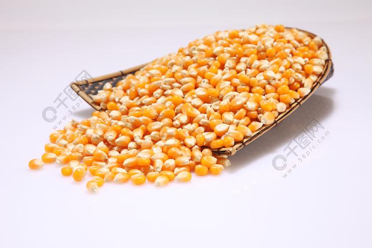 玉米 迷宫 自然 营养 营养 有机 流行 爆米花 生产 产品 原始 种子